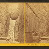 Flume above the Boulder, Franconia, N.H.