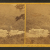 Profile House, Franconia Notch.