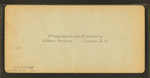 Echo Lake, Franconia Notch, N.H.