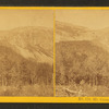 Mt. Cannon, Franconia.