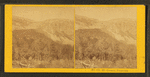 Mt. Cannon, Franconia.
