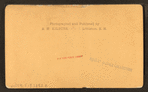 The Flume, Franconia Notch, N.H.