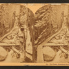 The Flume, Franconia Notch, N.H.