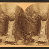 Flume, above the Boulder, Franconia Notch, N.H.
