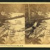 Foot of Cascades below the Flume, Franconia Mts., N.H.