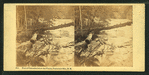 Foot of Cascades below the Flume, Franconia Mts., N.H.
