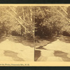 Cascades below the Flume, Franconia Mts., N.H.