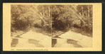Cascades below the Flume, Franconia Mts., N.H.