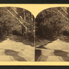 Cascades below the Flume, Franconia Mountains, N.H.