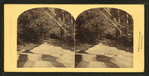 Cascades below the Flume, Franconia Mountains, N.H.