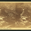 Near the Flume, Franconia Mts., N.H.