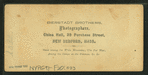 Flume, Franconia Mountains, N.H.