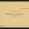 Flume, Franconia Mountains, N.H.