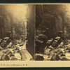 Flume, Franconia Mountains, N.H.