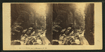 Flume, Franconia Mountains, N.H.