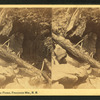 Above the Flume, Franconia Mts., N.H.