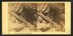 Above the Flume, Franconia Mts., N.H.