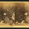 Cascades above the Flume, Franconia Mts., N.H.