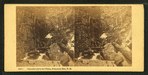 Cascades above the Flume, Franconia Mts., N.H.