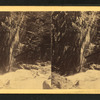 Looking into the Flume from above, Franconia Mountains, N.H.