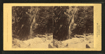 Looking into the Flume from above, Franconia Mountains, N.H.