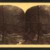 At the mouth of the Flume, looking down, Franconia Mountains, N.H.