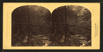 At the mouth of the Flume, looking down, Franconia Mountains, N.H.