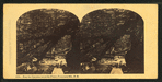 Near the Cascades below the Flume, Franconia Mts., N.H.