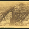 Near the Cascades below the Flume, Franconia Mts., N.H.