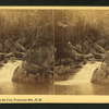 View in the Pool, Franconia Mts., N.H.