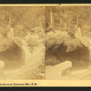 Basin from the Road, Franconia Mts., N.H.