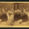 Basin as seen from the Road, Franconia Mts., N.H.