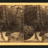 Cascade above the Basin, Franconia Mountains, N.H.