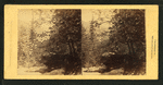 From the Rapids and Cascades, Franconia Notch, N.H.
