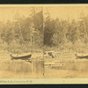 North end of Echo Lake, Franconia, N.H.