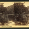 On the Pond near Profile Lake, Franconia, N.H.
