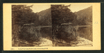 On the Pond near Profile Lake, Franconia, N.H.