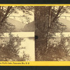 View on Profile Lake, Franconia Mts., N.H.