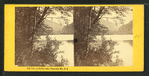 View on Profile Lake, Franconia Mts., N.H.