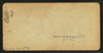 Flume House, Franconia Mountains, N.H.