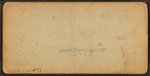 Eagle Cliff, from Profile House, N.H.