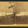 Profile House, Franconia Mts., N.H.