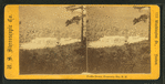 Profile House, Franconia Mts., N.H.