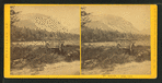Mt. Cannon.