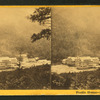 Profile House, Franconia, N.H.