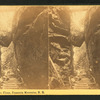 Suspended Boulder, Flume, Franconia Mountains, N.H.