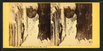Winter view in the Flume, Franconia Mts., N.H.