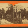 Road from Echo Lake to Profile House, White Mountains.