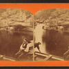 Prof. Merrill in the Lake, White Mountains.
