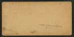 Artic Philosopher and Wife in the Pool, Franconia Mts., N.H.